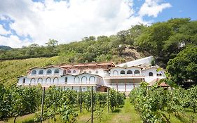 Viña Sicilia Hotel y Viñedo